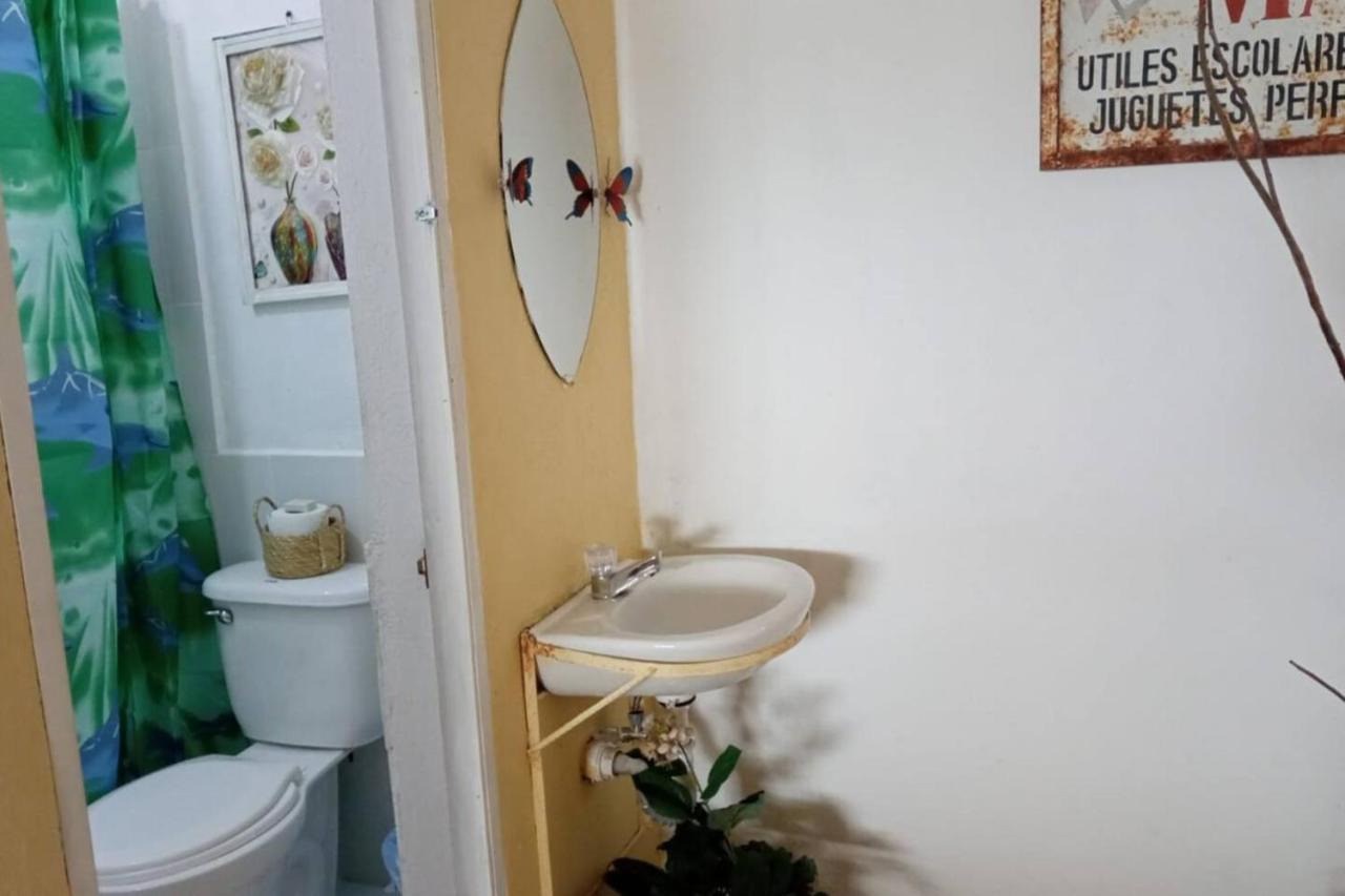 Casa Zoila * Flores