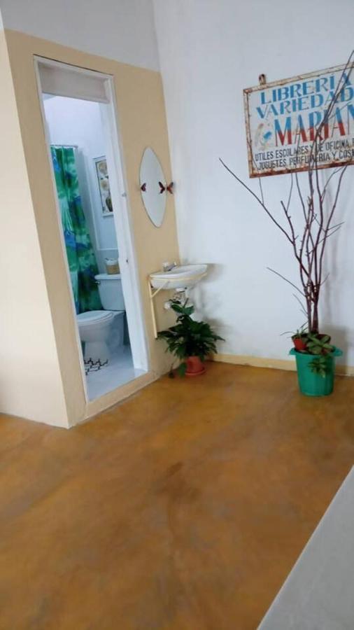 Apartment Casa Zoila