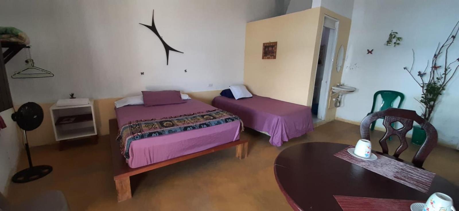 Apartment Casa Zoila Flores